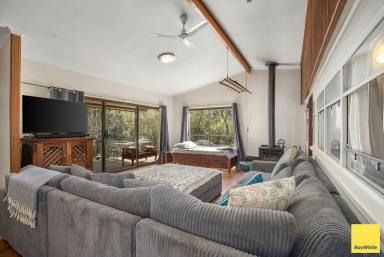 Lifestyle For Sale - NSW - Dorrigo - 2453 - 'Ravenwoods'  (Image 2)