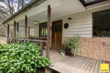 Lifestyle For Sale - NSW - Dorrigo - 2453 - 'Ravenwoods'  (Image 2)
