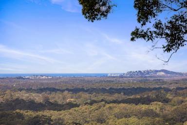 House For Sale - QLD - Doonan - 4562 - Luxe Hinterland Living with Panoramic Ocean Views  (Image 2)