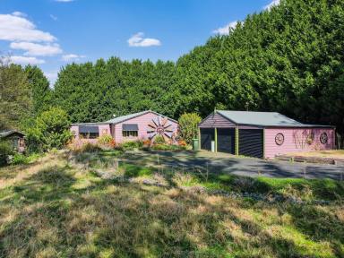 House Auction - NSW - Wingello - 2579 - Auction - 11th OCT 2:30pm  (Image 2)
