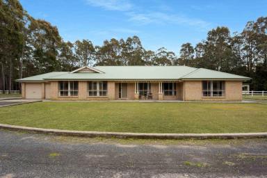 Lifestyle For Sale - NSW - Woollamia - 2540 - Acreage Living Minutes from Jervis Bay  (Image 2)