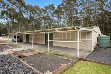 Lifestyle For Sale - NSW - Woollamia - 2540 - Acreage Living Minutes from Jervis Bay  (Image 2)