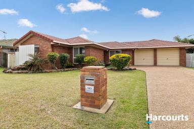 House For Sale - QLD - Bargara - 4670 - Investment Opportunity Coastal Living with Pool  (Image 2)