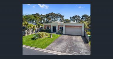 House For Sale - VIC - Apollo Bay - 3233 - A living designed for the life you desire  (Image 2)