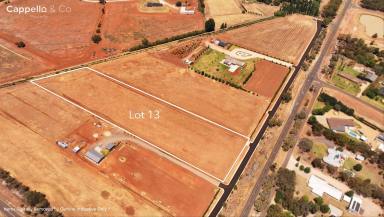 Residential Block For Sale - NSW - Lake Wyangan - 2680 - READY TO BUILD & ROAD SEALED - Prime 2Ha Lake Wyangan Land - Build Your Dream!  (Image 2)