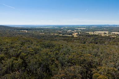 Lifestyle Auction - NSW - Bungonia - 2580 - Yes, it has building entitlement!  (Image 2)