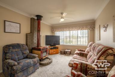House For Sale - NSW - Glen Innes - 2370 - Comfort, Convenience & Exceptional Garage Space  (Image 2)