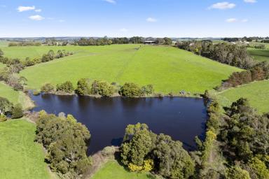 Dairy For Sale - VIC - Cooriemungle - 3268 - TOP CLASS HEYTESBURY DISTRICT DAIRY FARM  (Image 2)