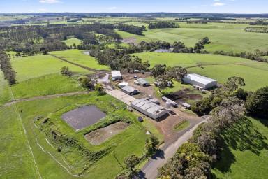 Dairy For Sale - VIC - Cooriemungle - 3268 - TOP CLASS HEYTESBURY DISTRICT DAIRY FARM  (Image 2)