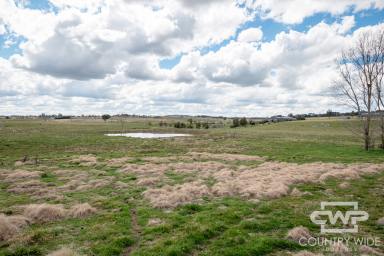 Residential Block For Sale - NSW - Glen Innes - 2370 - A Rare Lifestyle Opportunity on 4.8 Acres with Two Dams  (Image 2)