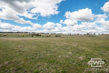 Residential Block For Sale - NSW - Glen Innes - 2370 - A Rare Lifestyle Opportunity on 4.8 Acres with Two Dams  (Image 2)