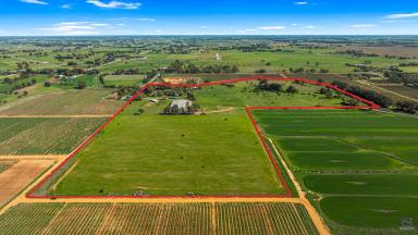 Mixed Farming Auction - VIC - Katunga - 3640 - Versatile Rural Holding - Multiple Possibilities  (Image 2)