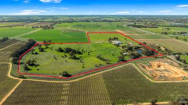 Mixed Farming Auction - VIC - Katunga - 3640 - Versatile Rural Holding - Multiple Possibilities  (Image 2)
