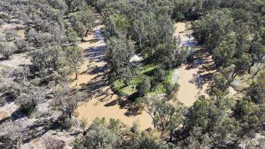 Other (Rural) Auction - NSW - Collarenebri - 2833 - Rosewood, Collarenebri  (Image 2)
