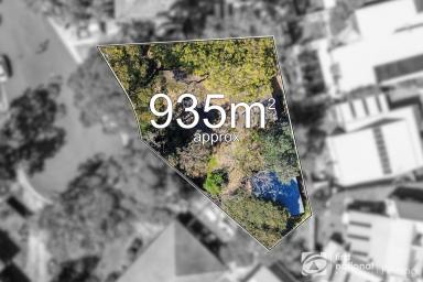 House For Sale - VIC - Blind Bight - 3980 - Coastal Escape on a Generous 939m2 Block  (Image 2)