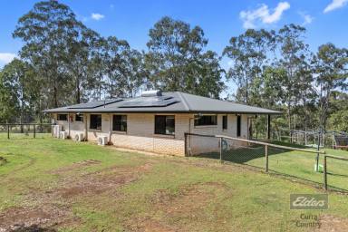 House For Sale - QLD - Paterson - 4570 - 40 ACRES OF LIFESTYLE LIVING IN PATERSON  (Image 2)
