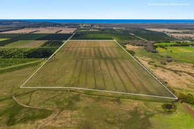 Lifestyle For Sale - NSW - Knockrow - 2479 - Nearly 100 acres of cleared hinterland with scenic views  (Image 2)