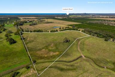 Lifestyle For Sale - NSW - Knockrow - 2479 - Nearly 100 acres of cleared hinterland with scenic views  (Image 2)