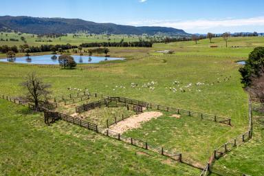 Mixed Farming For Sale - NSW - Rylstone - 2849 - Prime Agricultural Holding with Endless Potential  (Image 2)