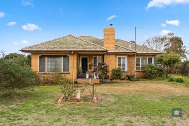 Lifestyle For Sale - VIC - Cororooke - 3254 - Country living with Room to Grow...  (Image 2)