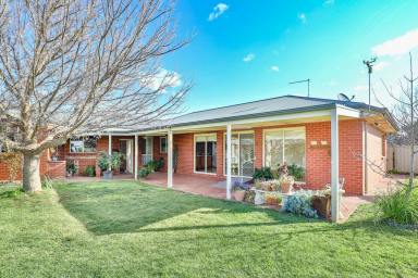 House For Sale - VIC - Mildura - 3500 - TIMELESS & ELEGANT FAMILY HOME  (Image 2)