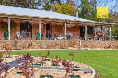 House For Sale - WA - Bridgetown - 6255 - Family Friendly Country Home near the Blackwood River  (Image 2)