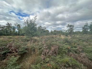 Residential Block For Sale - TAS - Reedy Marsh - 7304 - Rare Opportunity  (Image 2)