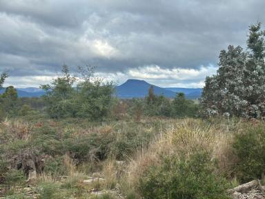 Residential Block For Sale - TAS - Reedy Marsh - 7304 - Rare Opportunity  (Image 2)