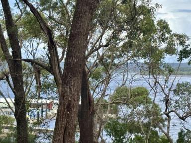 Residential Block Sold - QLD - Macleay Island - 4184 - Rare Opportunity  (Image 2)