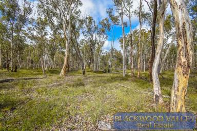 Residential Block For Sale - WA - Dinninup - 6244 - WOODED GETAWAY - 300 ACRES  (Image 2)