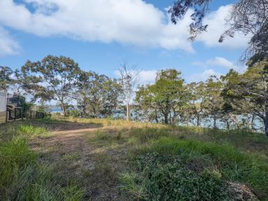 Residential Block For Sale - QLD - Macleay Island - 4184 - A View Like No Other - Absolute Waterfront - 2,139m² Approx. (Image 2)
