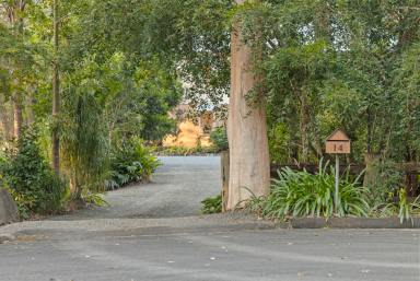 House Auction - QLD - Lake Macdonald - 4563 - Auction - Unless Sold Prior  (Image 2)