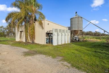 Mixed Farming For Sale - VIC - Invergordon - 3636 - Lifestyle living on 102 acres of prime land - multiple opportunities  (Image 2)