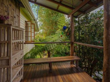 House For Sale - QLD - Victory Heights - 4570 - Charming Victory Heights Cottage  (Image 2)