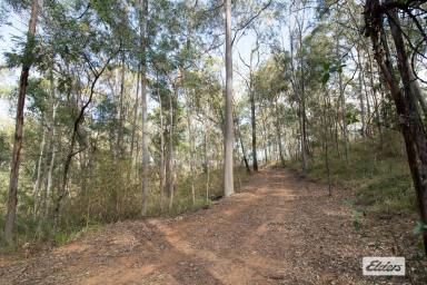 Residential Block For Sale - QLD - Summerholm - 4341 - Play Time, Unwind Time, Your Time!  (Image 2)