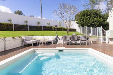 House For Sale - QLD - Eumundi - 4562 - Character Family Home - Proven Airbnb Returns in Heart of Eumundi  (Image 2)