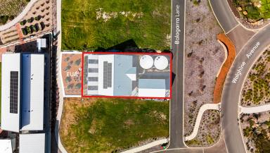 House For Sale - WA - Witchcliffe - 6286 - Be still my beating GREEN heart  (Image 2)