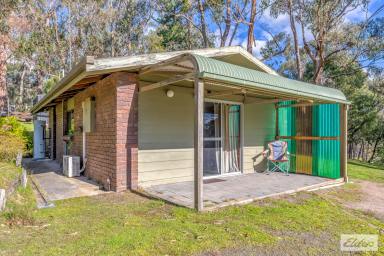 Acreage/Semi-rural For Sale - VIC - Jeeralang Junction - 3840 - Rural Lifestyle - Two Dwellings.  (Image 2)