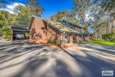 House For Sale - VIC - Jeeralang Junction - 3840 - Modern Comfort Meets Country Character  (Image 2)