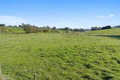 Residential Block For Sale - VIC - Warragul South - 3821 - PRIVATE ESCAPE FROM IT ALL  (Image 2)