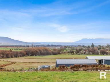Residential Block For Sale - TAS - St Marys - 7215 - A Rare Opportunity to Build in a Stunning Valley Setting  (Image 2)
