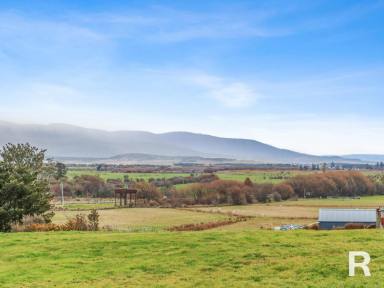 Residential Block For Sale - TAS - St Marys - 7215 - A Rare Opportunity to Build in a Stunning Valley Setting  (Image 2)