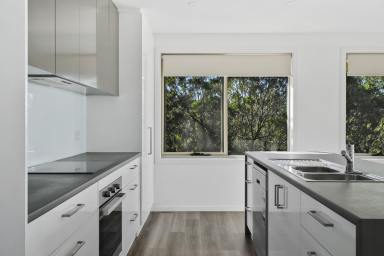 Unit For Lease - TAS - Sorell - 7172 - Modern Three Bedroom Two Bathroom Unit  (Image 2)