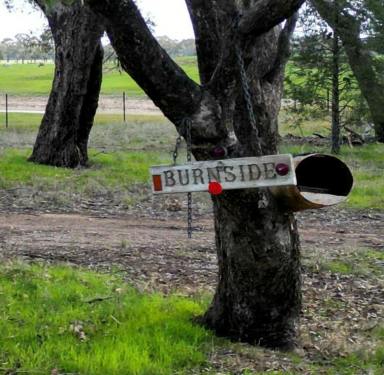 Cropping Auction - NSW - Balldale - 2646 - Rarely available small farm in easily accessible location, don’t wait to inspect!!!!!  (Image 2)