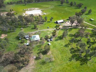 Cropping Auction - NSW - Balldale - 2646 - Rarely available small farm in easily accessible location, don’t wait to inspect!!!!!  (Image 2)