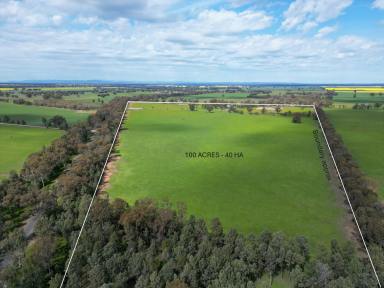 Cropping Auction - NSW - Balldale - 2646 - Rarely available small farm in easily accessible location, don’t wait to inspect!!!!!  (Image 2)