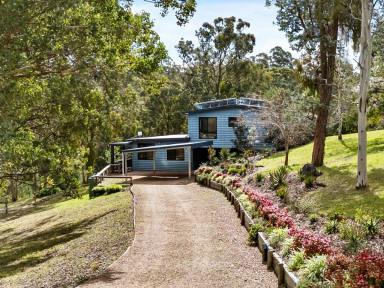 House For Sale - VIC - Kalimna West - 3909 - A SECLUDED RETREAT WITH EXCLUSIVE WATER ACCESS  (Image 2)