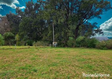 Land/Development For Lease - NSW - Berry - 2535 - Do you require vacant land to run cattle?  (Image 2)