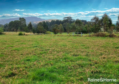 Land/Development For Lease - NSW - Berry - 2535 - Do you require vacant land to run cattle?  (Image 2)