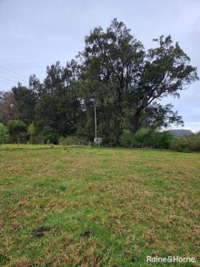 Land/Development For Lease - NSW - Berry - 2535 - Vacant Land  (Image 2)